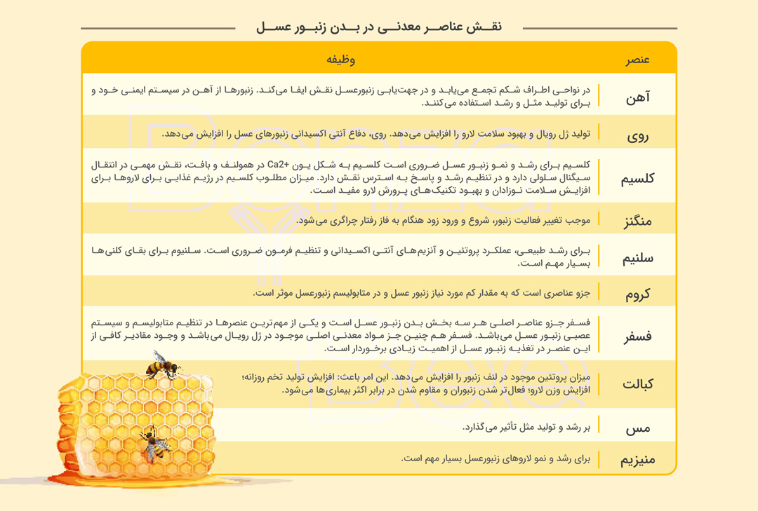 نقش هر عنصر در بدن زنبور عسل