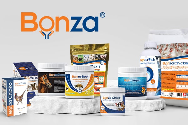 All-Products-600-400-En-min