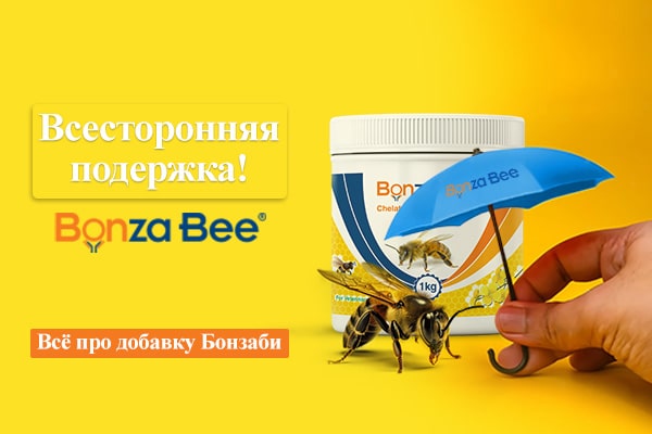 Full-Support-Bonza-Bee-600-400-Russian-min